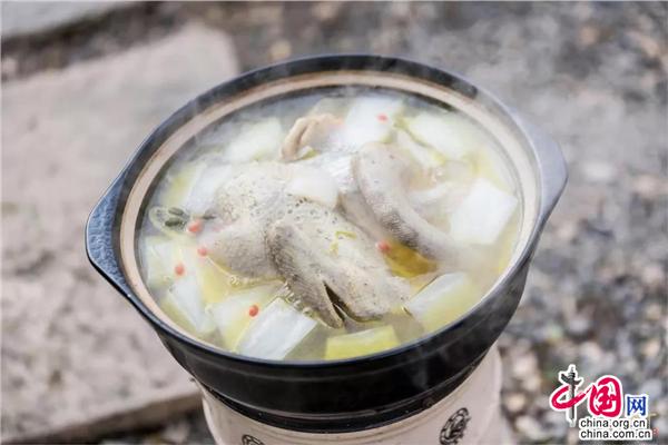 老鸭窝最新技能与任务掌握指南，详细步骤引领你掌握最新技能或任务