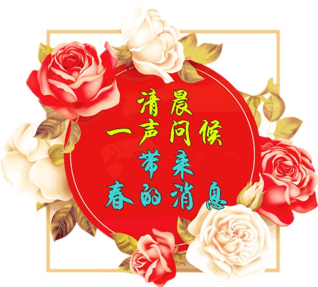 最新广场舞好运送给你——初学者与进阶用户的学习指南