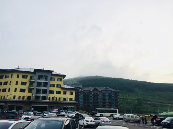 张家口贴吧最新消息，城市生活的温馨瞬间与友情纽带