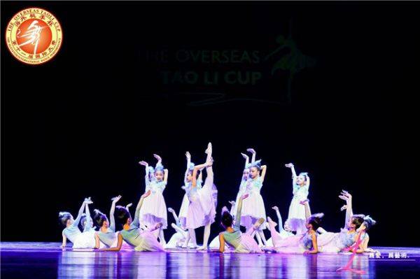 最新舞蹈比赛一等奖背后的荣耀故事与深远影响