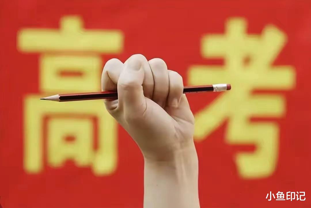 高考最新资讯更新速递