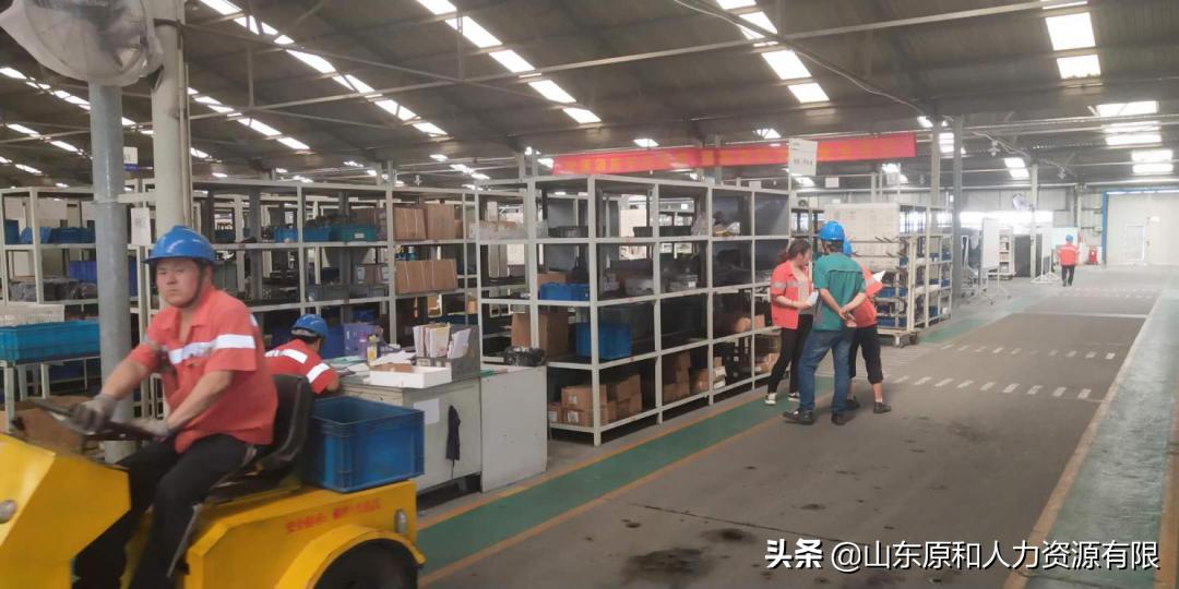 坊子最新司机招聘启事，小巷深处的独特风味等你来探秘！