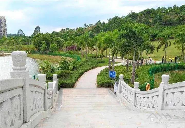 大亚湾西区最新房价,科技前沿与生活共舞的理想居所