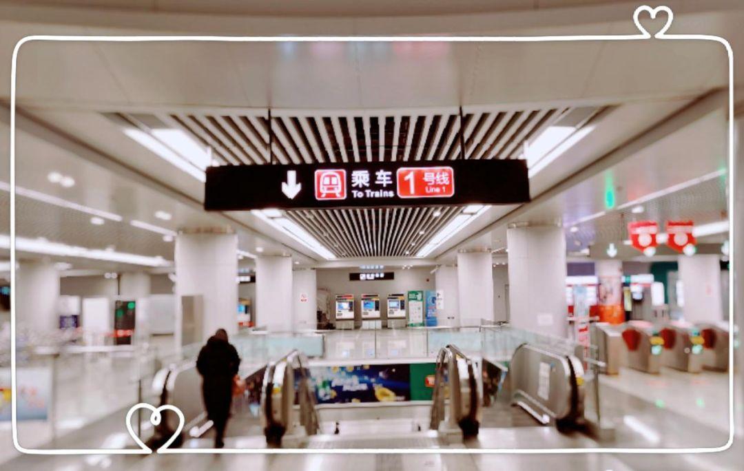 石家庄进出最新通知，家的温馨故事与旅行轨迹的融合记录