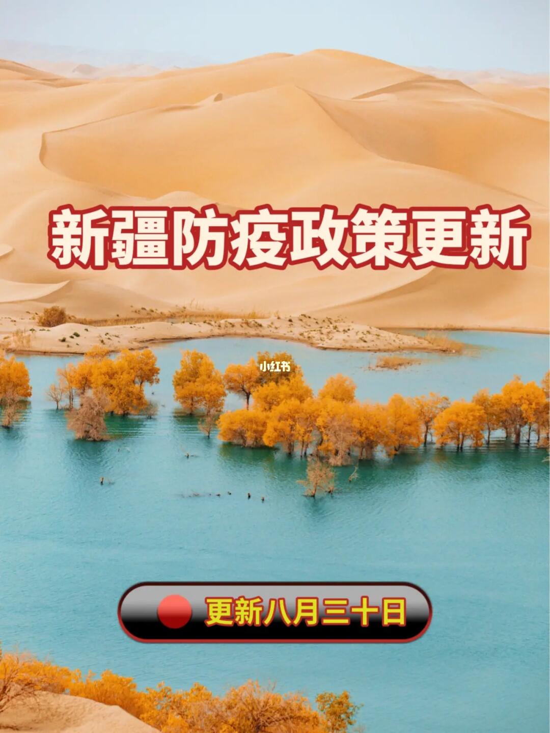 新疆最新政策，日常故事中的温馨与变革