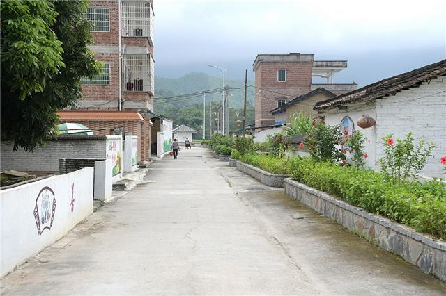 德庆在线招聘最新信息及求职全步骤指南