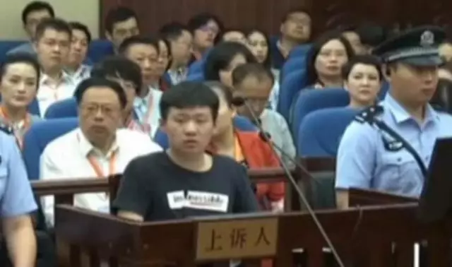 辱母杀人案最新进展及应对处理步骤指南