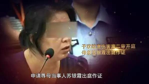 辱母杀人案最新进展及应对处理步骤指南