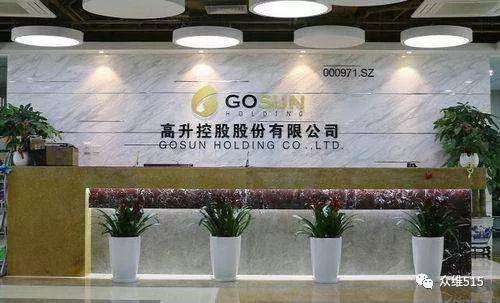 高升控股最新动态更新，最新消息汇总