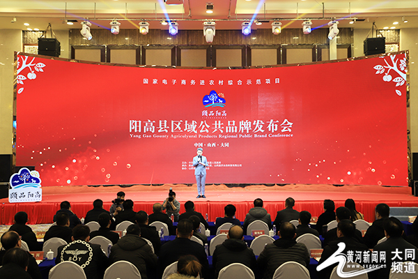 阳高贴吧最新消息，多维度的社区热点探讨