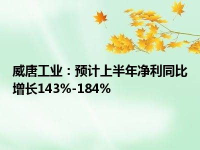 威唐工业最新动态,小巷中的独特风景