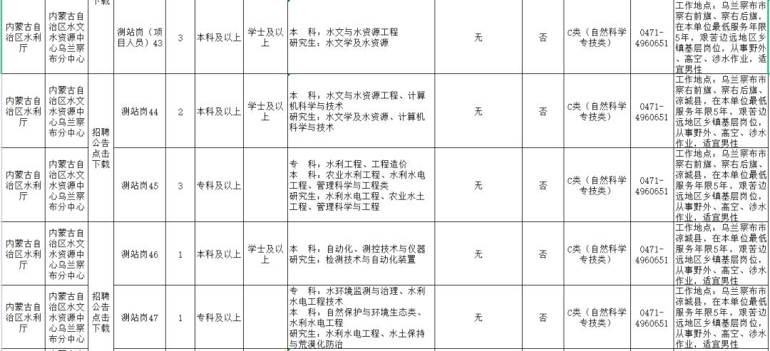 喀左招聘网最新招聘，城市求职奇遇与友情纽带的交织