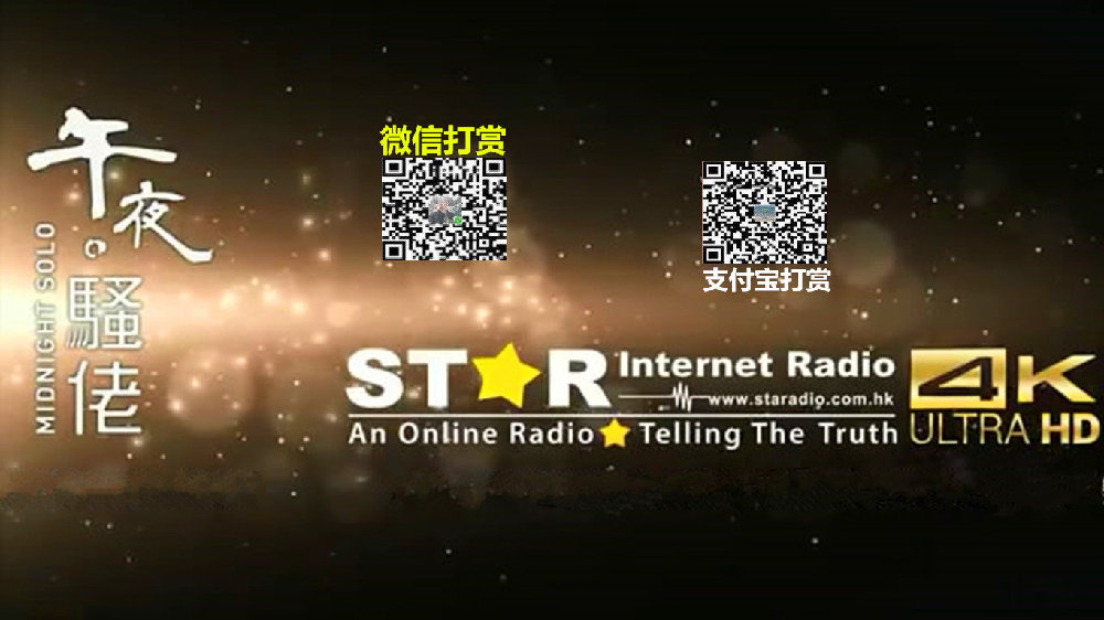 探索午夜频道,魅力与多样性的极致展现