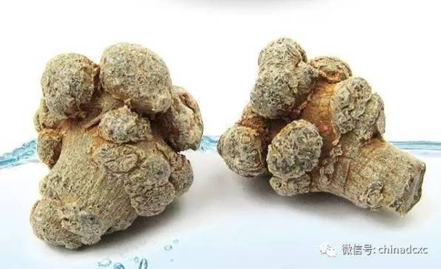 科技重塑生活，最新三七价格的高科技之旅