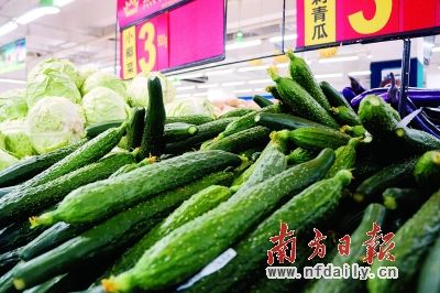 科技重塑菜篮子,最新蔬菜价格与生活智能精彩交织