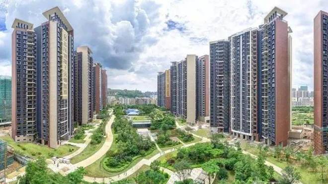 广州最新楼盘网,背景追溯、重要事件与地位记录