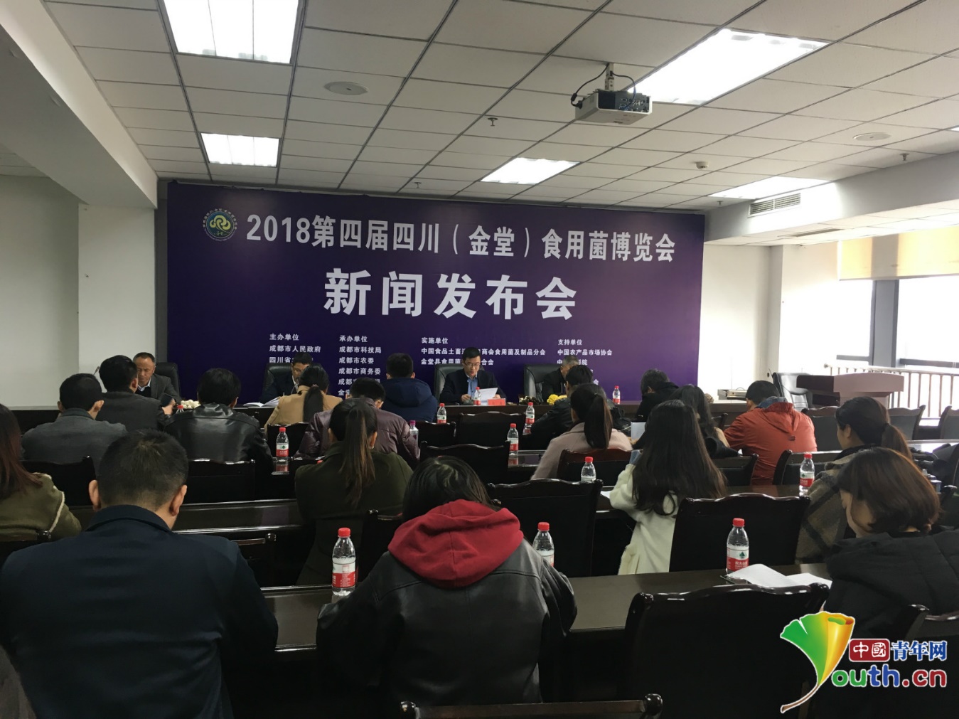 成都金堂最新新闻报道