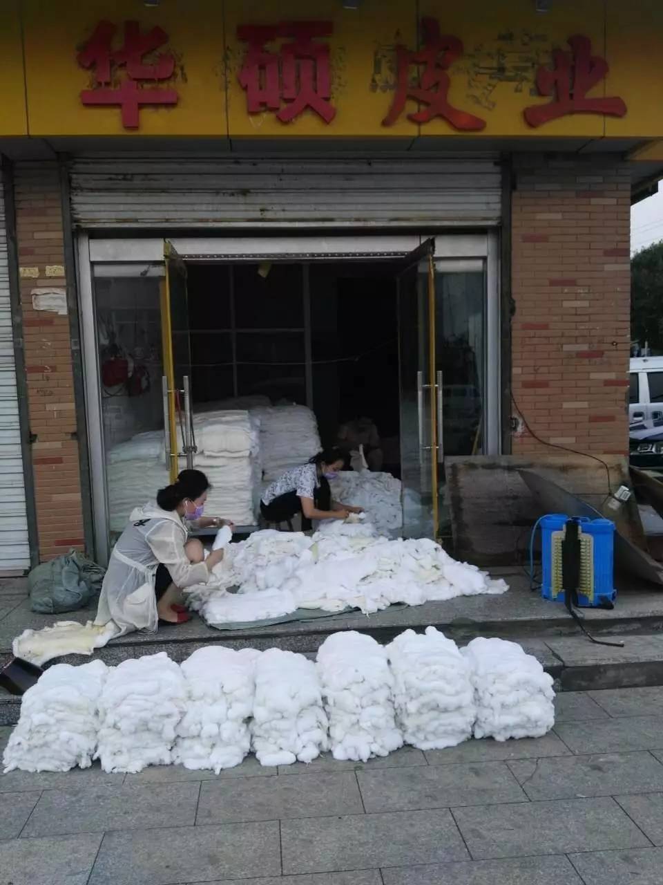 尚村獭兔最新价格概览及市场动态分析