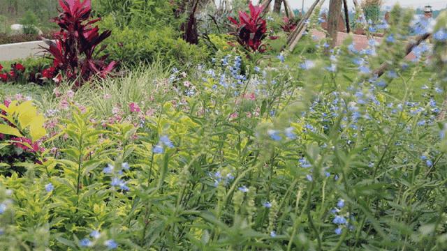 新津温馨日常故事更新报道