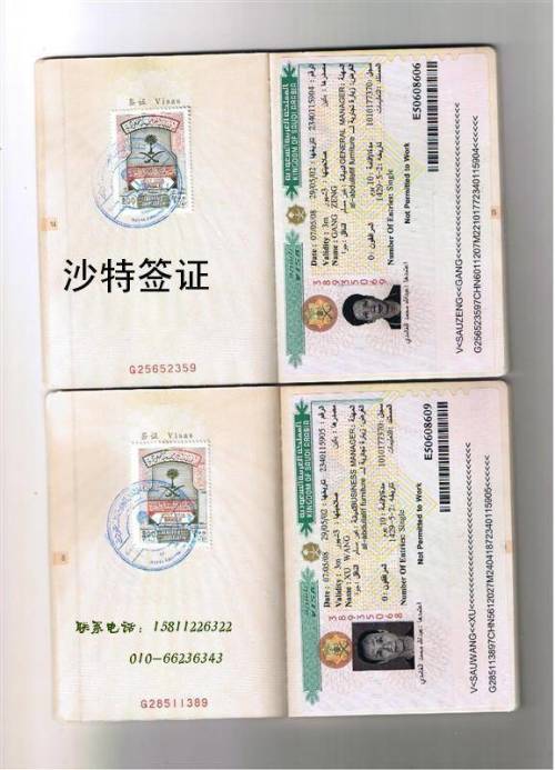 沙特旅游签证最新动态，启程畅游阿拉伯风情之旅！