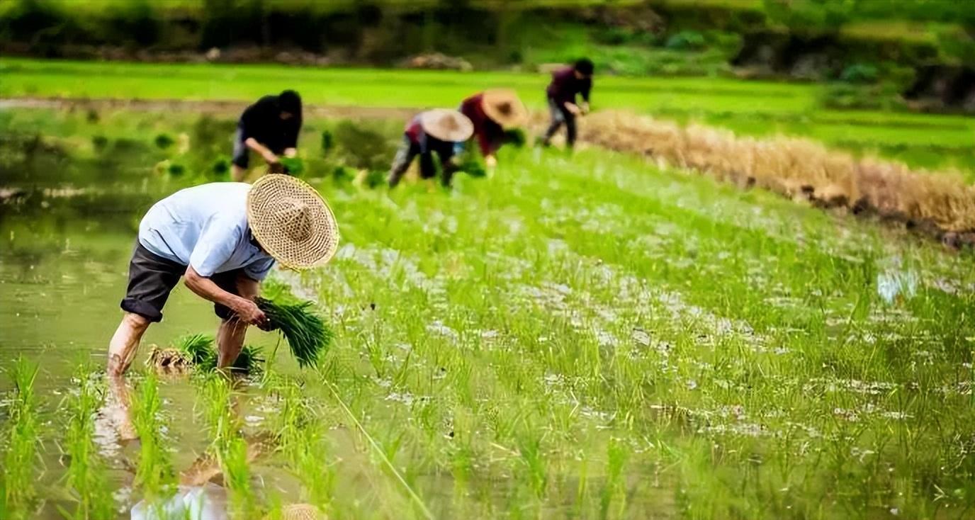 钱包金融最新动态大全，掌握金融资讯的轻松指南