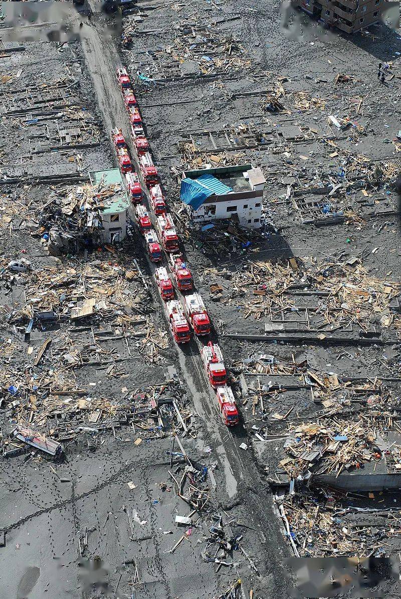 太平洋地震最新动态,奇遇与深厚友情的交织