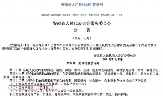 上海最新产假政策与小巷美食秘境探索