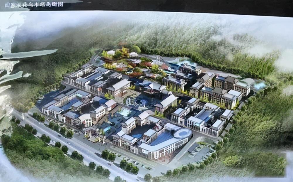 最新花鸟,友情与温馨的日常生活