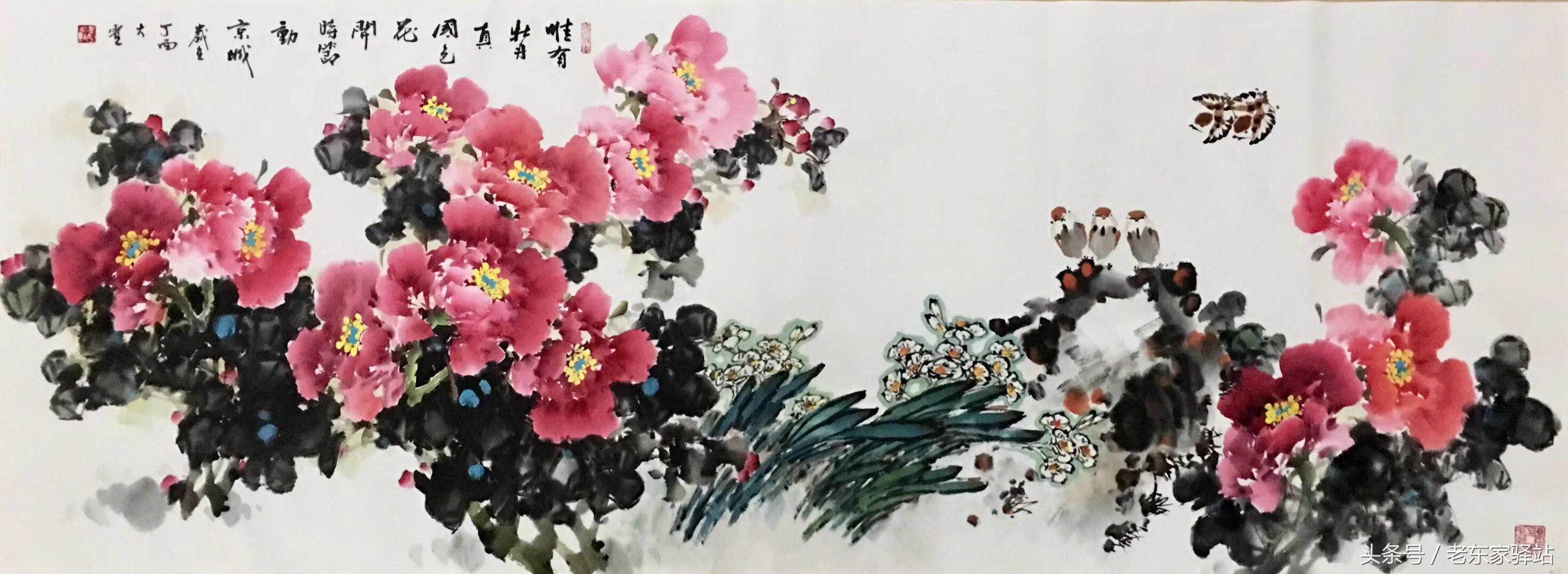 最新花鸟,友情与温馨的日常生活