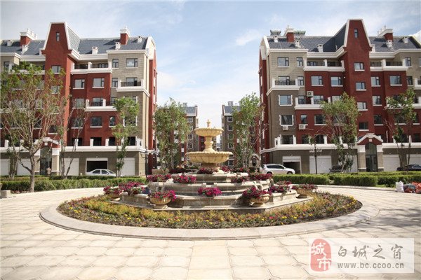 白城之窗最新信息深度解析,观点与动态汇聚