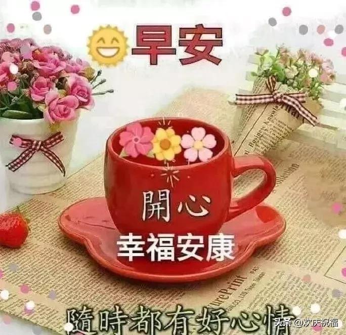 最新版铃声深度探讨与观点分享