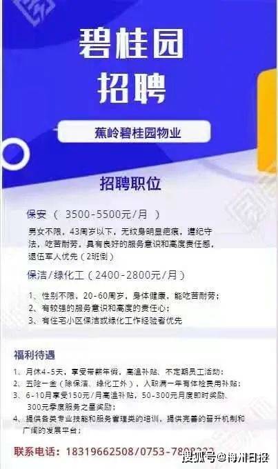 蕉岭最新招聘信息,家的温馨故事与求职者的新起点