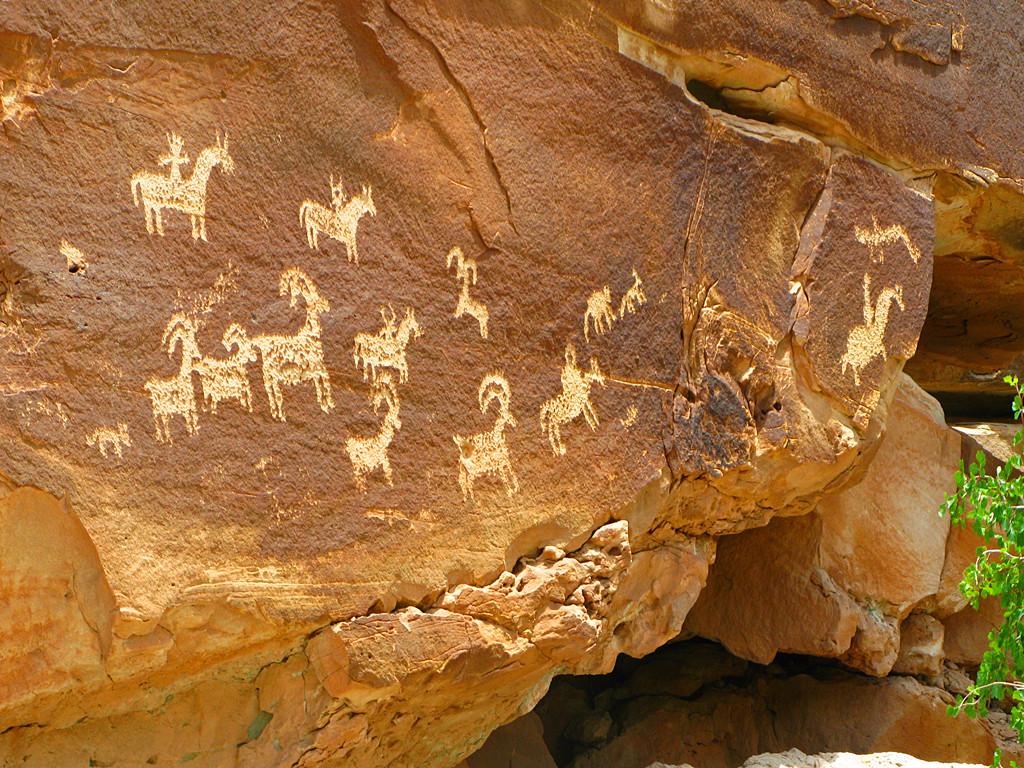 随时约app下载指南,最新下载步骤及体验概述