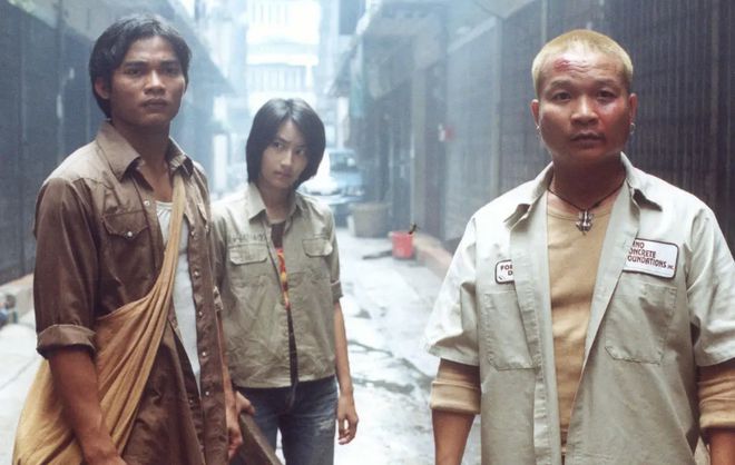 托尼贾最新电影,力量与自信之光芒闪耀登场