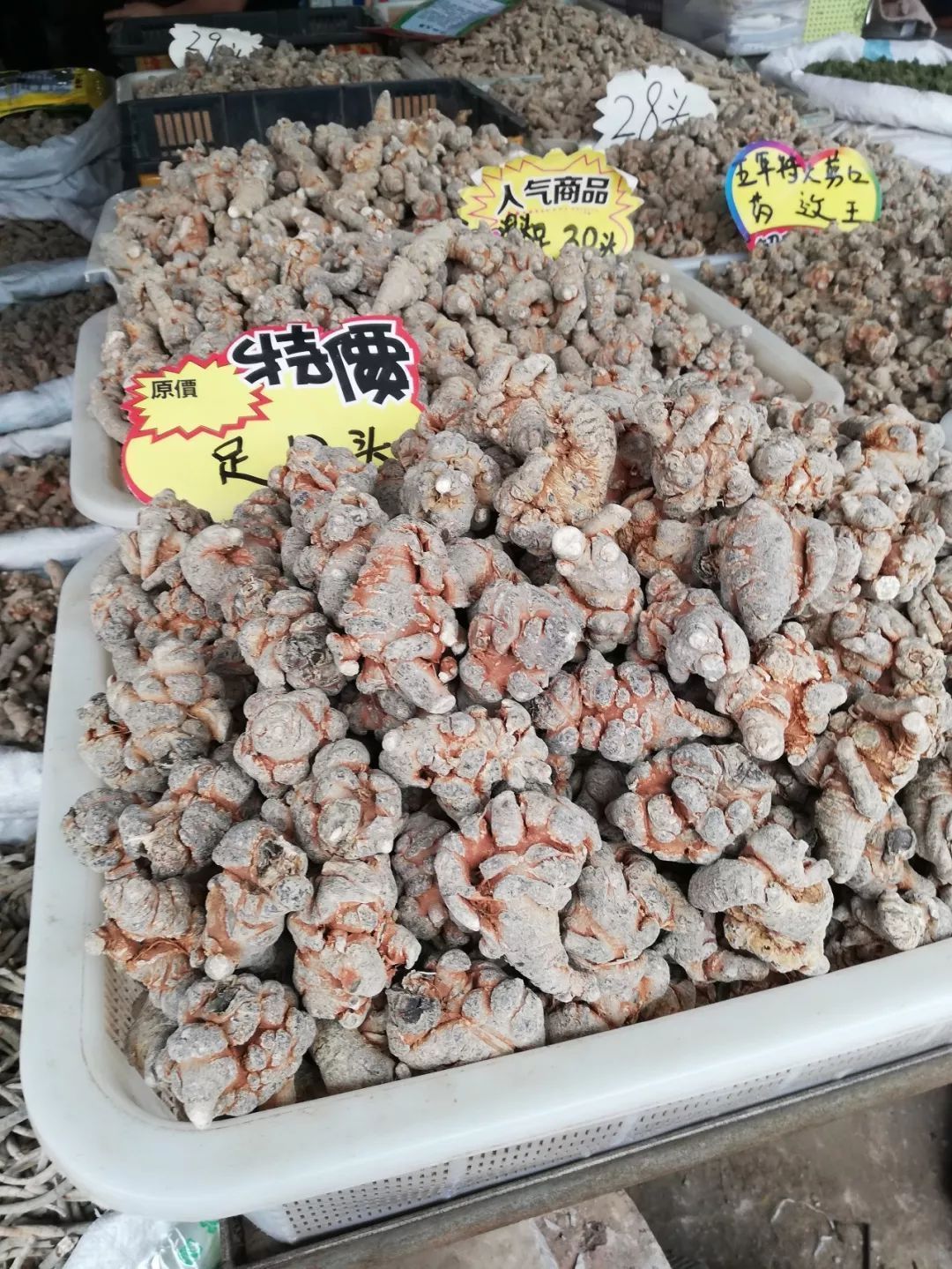 今日文山三七价格动态，变化中学习，自信与梦想的基石
