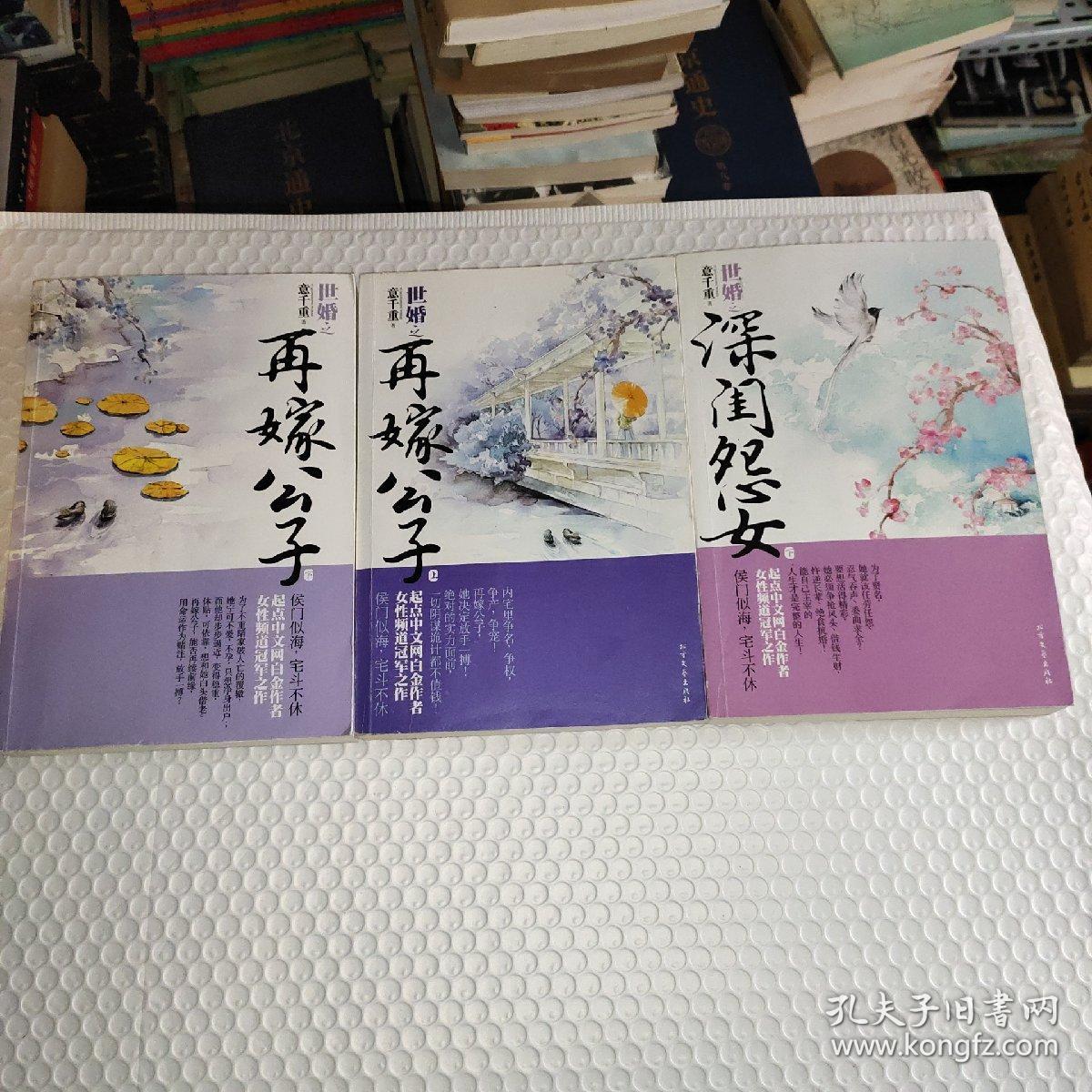 意千重最新作品,深度探索文学艺术的魅力与深度