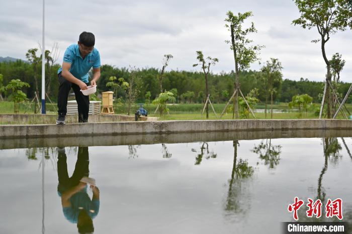 广西大藤峡水利枢纽工程最新进展与挑战动态解析