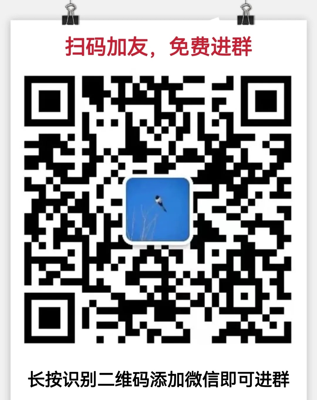 最新Les微信群二维码,专属交友空间的打造