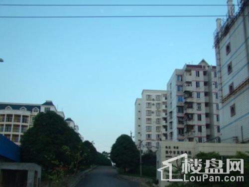 南宁海棠一品蜕变之路,自信与成就的最新篇章