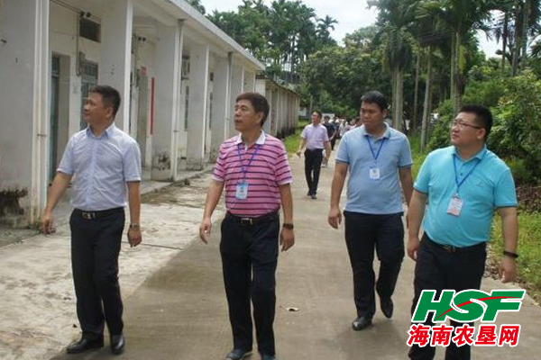 万宁市王德海的新动态，日常趣事、友情纽带与最新取向揭秘