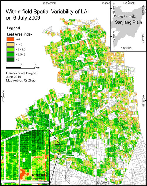 建三江信息港最新动态,邻里间的温情故事