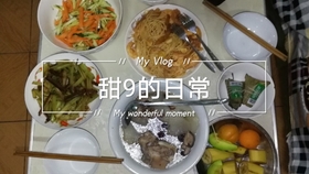 三时三餐最新一期深度解析,节目魅力及其影响力探讨