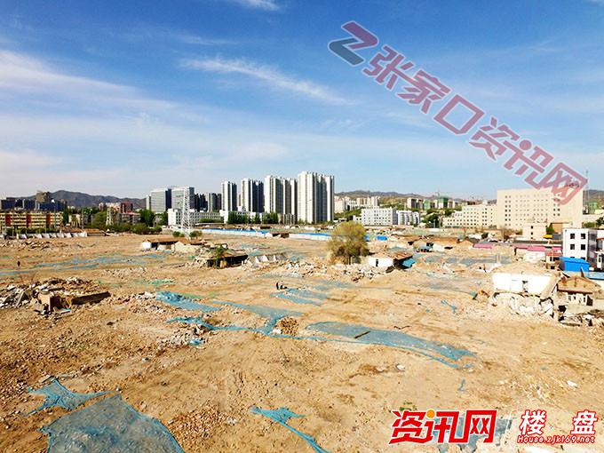 张家口葛大葛二最新动态揭秘