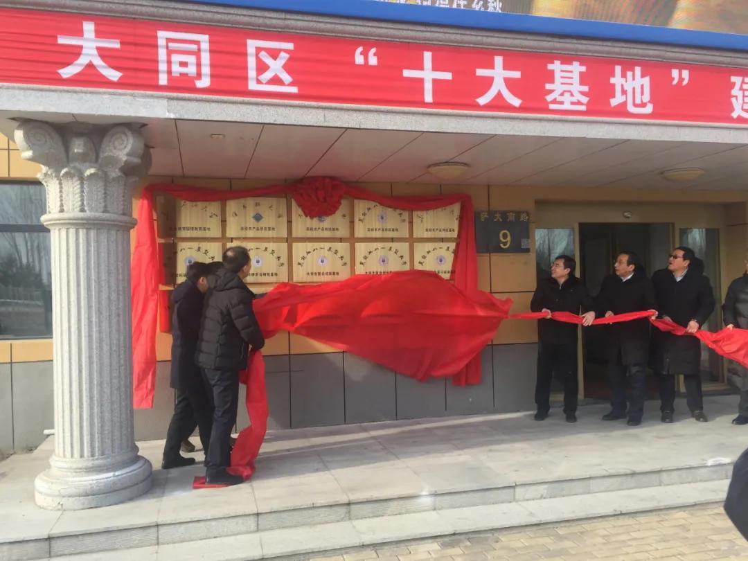 山西大同人才网最新招聘信息,时代的脉搏与人才的汇聚舞台