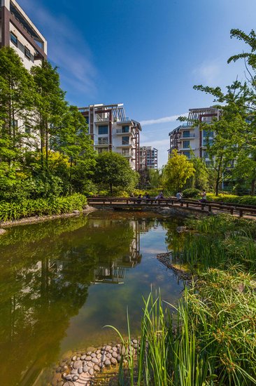 润鸿水尚三期最新动态,邻里间的温情日常揭秘