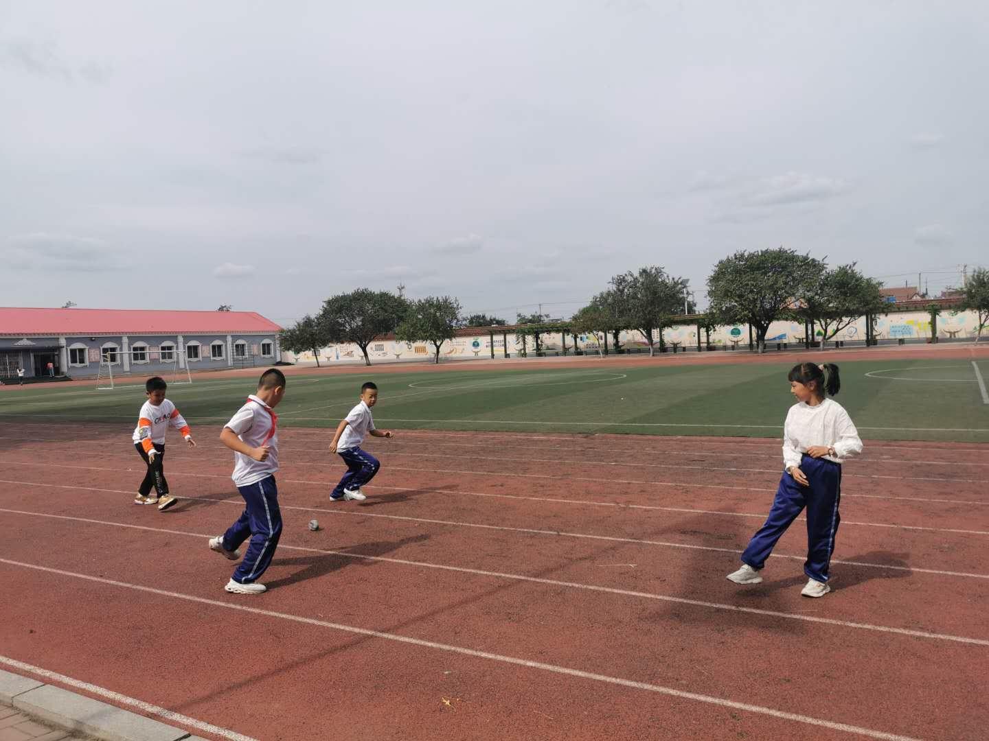 鞍山宁远农产品批发市场最新价格解析,观点阐述与市场探析