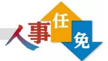 四川人事网最新招聘信息,科技引领智能招聘新纪元开启