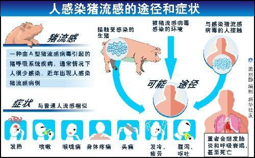 H1N1流感症状最新消息及发展趋势(2025年)