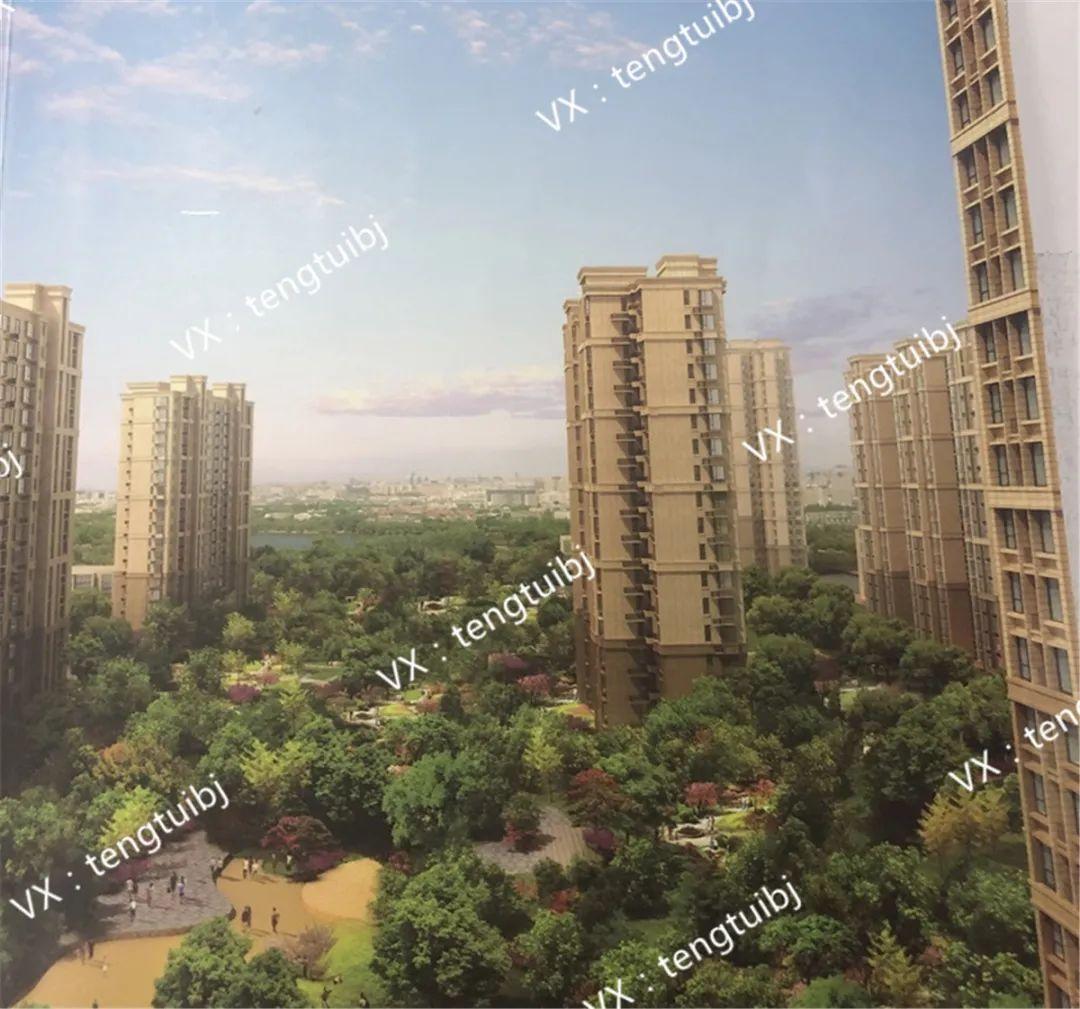 东坝华瀚福园最新进展揭秘,最新动态概览