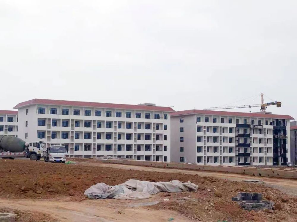 分宜县夏小云最新进展更新消息,最新动态揭秘!